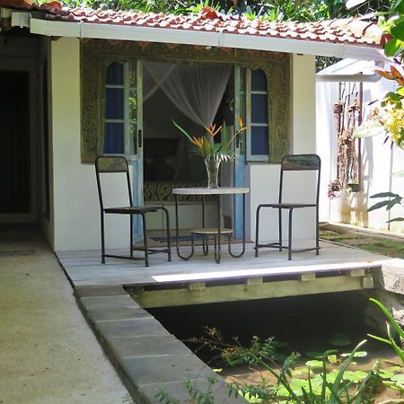 Lata Lama Lovina Habitación foto